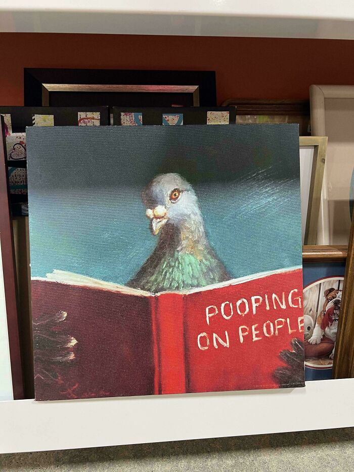 55 Funny, Bizarre And Actually Amazing Goodwill Finds That Prove Thrifting Is Never Boring (New Pics)