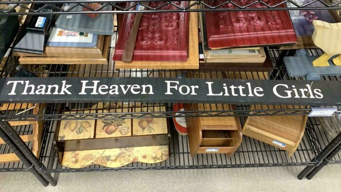 55 Funny, Bizarre And Actually Amazing Goodwill Finds That Prove Thrifting Is Never Boring (New Pics)