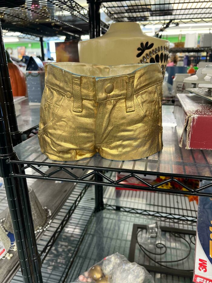 55 Funny, Bizarre And Actually Amazing Goodwill Finds That Prove Thrifting Is Never Boring (New Pics)