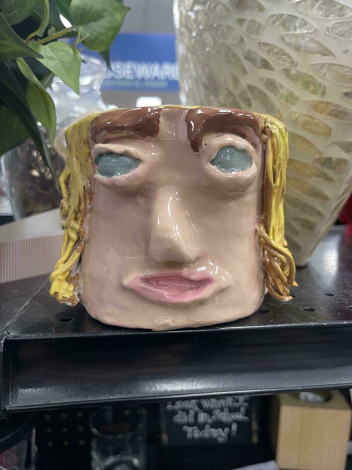55 Funny, Bizarre And Actually Amazing Goodwill Finds That Prove Thrifting Is Never Boring (New Pics)