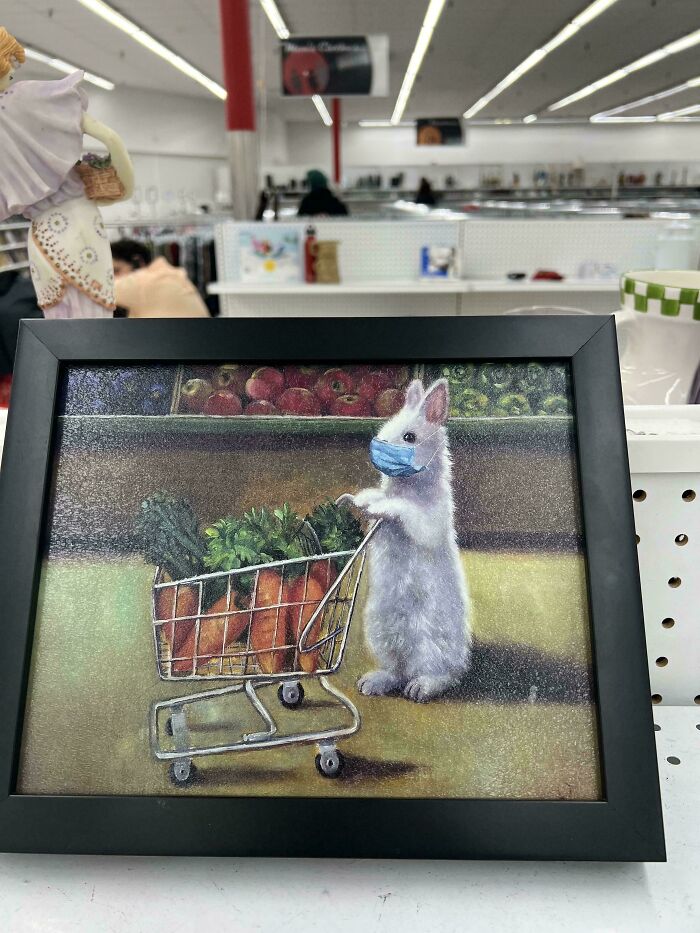 55 Funny, Bizarre And Actually Amazing Goodwill Finds That Prove Thrifting Is Never Boring (New Pics)