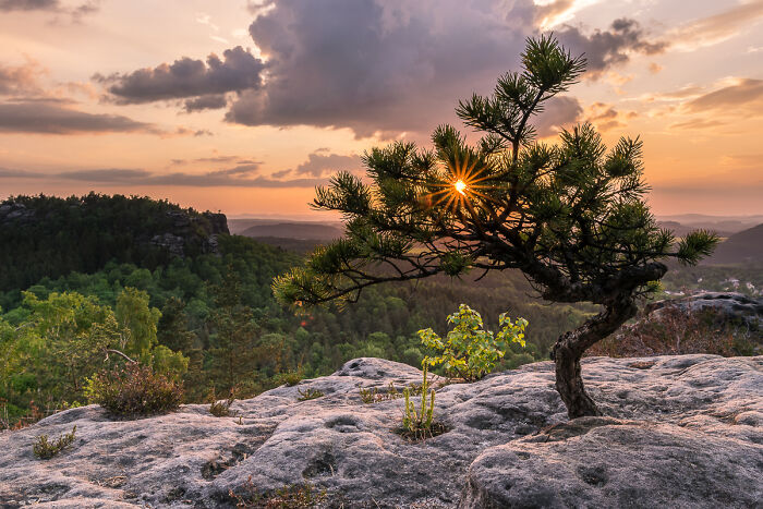 54 Winning Nature Photos From The 2025 Chromatic Awards That Celebrate The Power Of Color