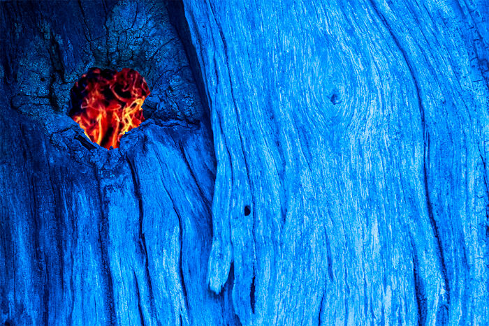 54 Winning Nature Photos From The 2025 Chromatic Awards That Celebrate The Power Of Color
