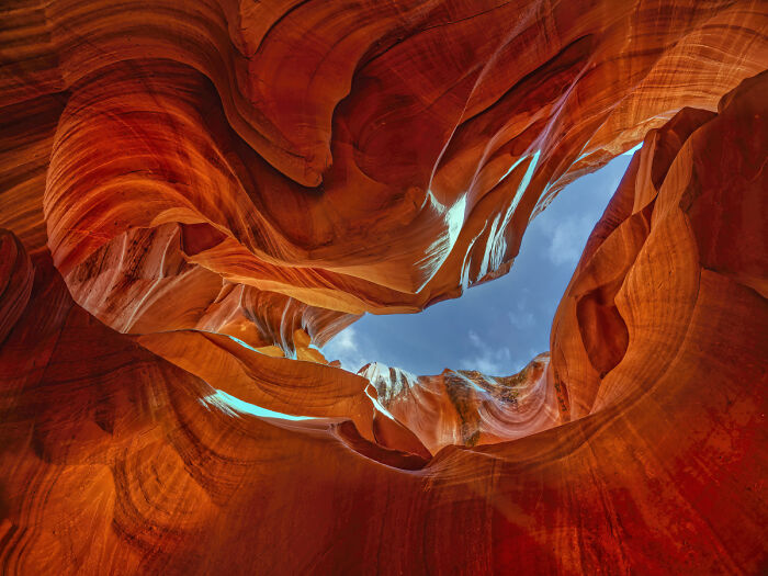 54 Winning Nature Photos From The 2025 Chromatic Awards That Celebrate The Power Of Color