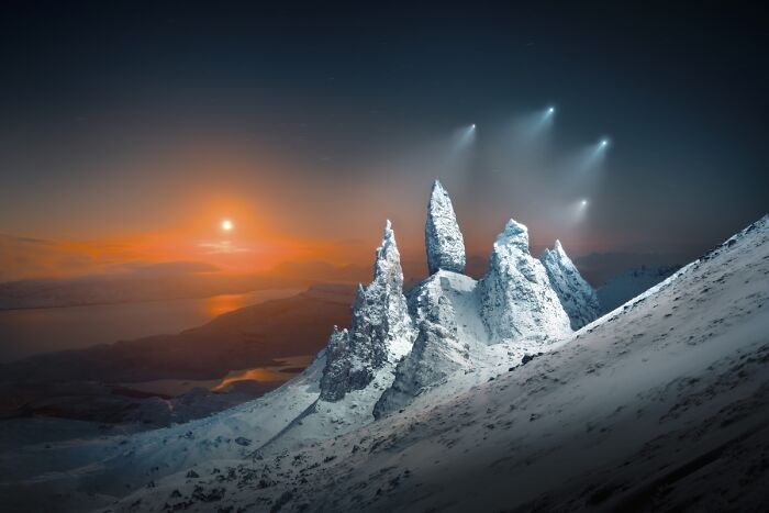 54 Winning Nature Photos From The 2025 Chromatic Awards That Celebrate The Power Of Color