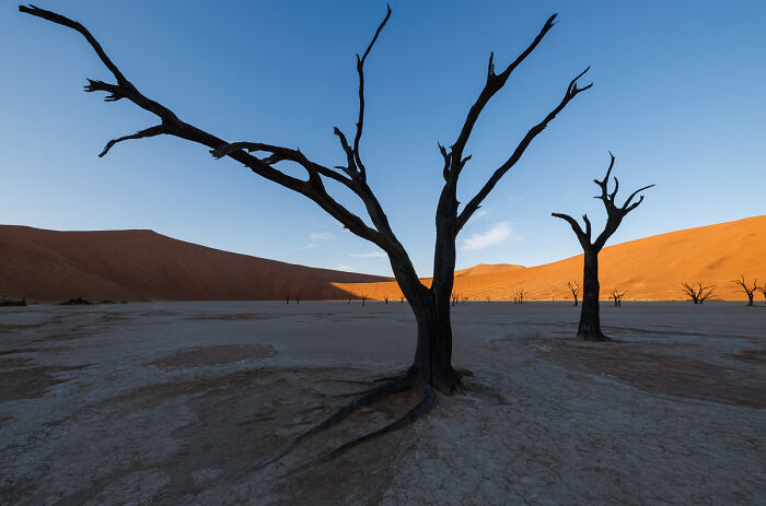 54 Winning Nature Photos From The 2025 Chromatic Awards That Celebrate The Power Of Color