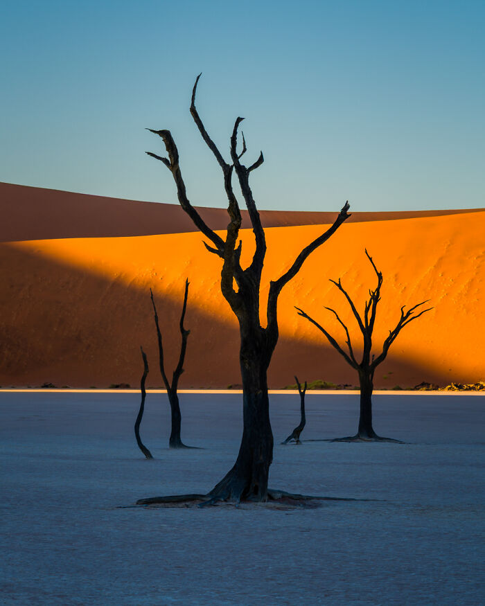 54 Winning Nature Photos From The 2025 Chromatic Awards That Celebrate The Power Of Color