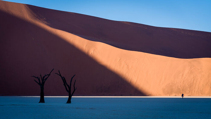 54 Winning Nature Photos From The 2025 Chromatic Awards That Celebrate The Power Of Color
