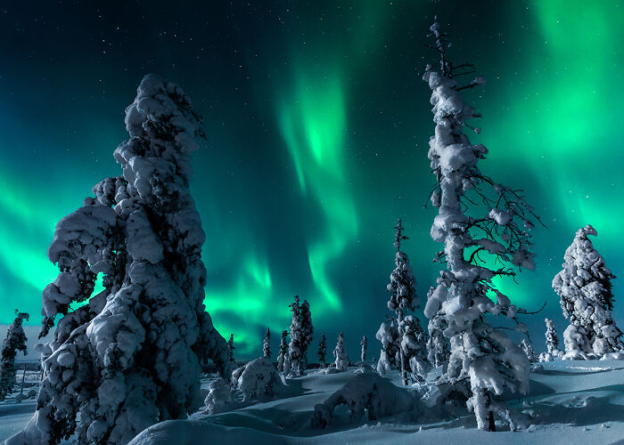 54 Winning Nature Photos From The 2025 Chromatic Awards That Celebrate The Power Of Color
