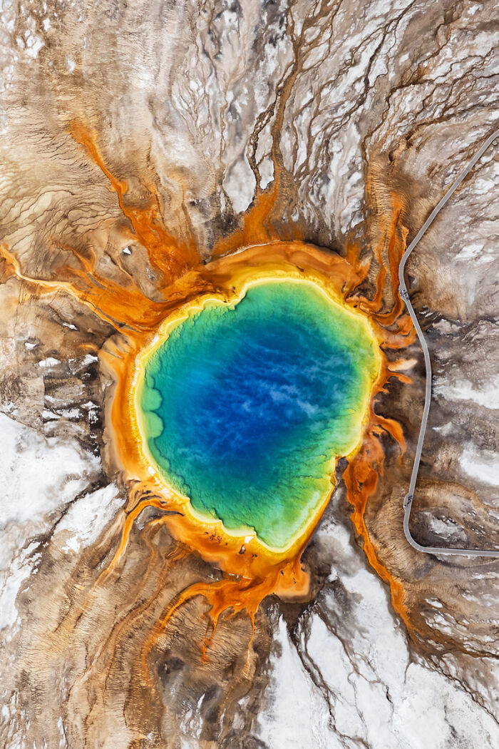 54 Winning Nature Photos From The 2025 Chromatic Awards That Celebrate The Power Of Color