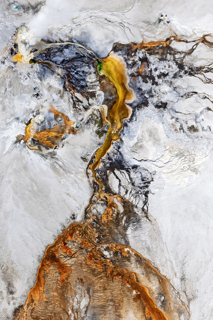 54 Winning Nature Photos From The 2025 Chromatic Awards That Celebrate The Power Of Color