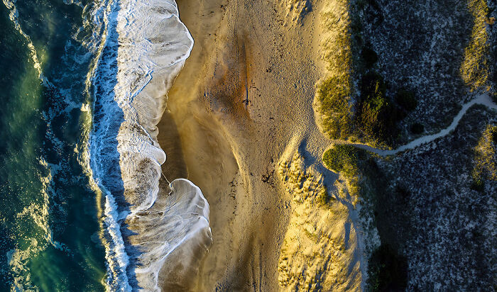 54 Winning Nature Photos From The 2025 Chromatic Awards That Celebrate The Power Of Color