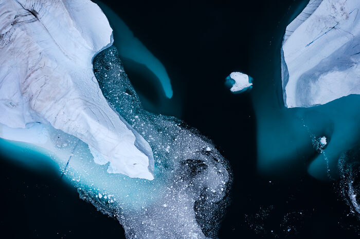 54 Winning Nature Photos From The 2025 Chromatic Awards That Celebrate The Power Of Color