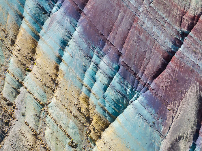 54 Winning Nature Photos From The 2025 Chromatic Awards That Celebrate The Power Of Color