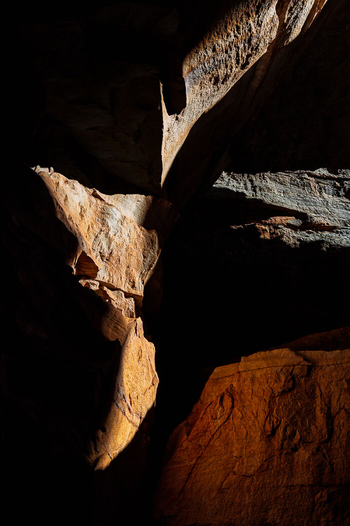 54 Winning Nature Photos From The 2025 Chromatic Awards That Celebrate The Power Of Color