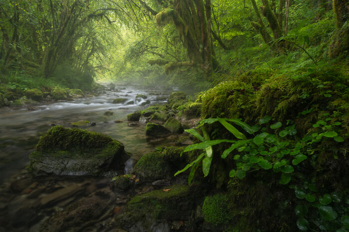 54 Winning Nature Photos From The 2025 Chromatic Awards That Celebrate The Power Of Color