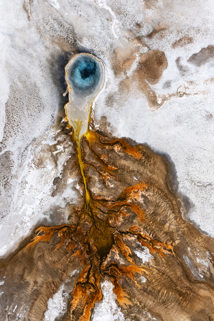 54 Winning Nature Photos From The 2025 Chromatic Awards That Celebrate The Power Of Color