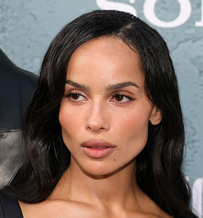 “Lost Another Baddie To Buccal Fat Removal”: 28 Celebrity Collages That Put Rumored Plastic Surgery On Display
