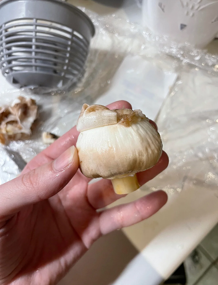 20 Cooking Myths Even Good Cooks Believe (That Ruin Dishes)