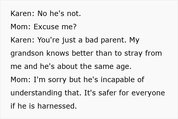 Mom Uses Harness On Autistic Kid, Old Woman Thinks It’s Just Bad Parenting, Kid Ends Up Missing