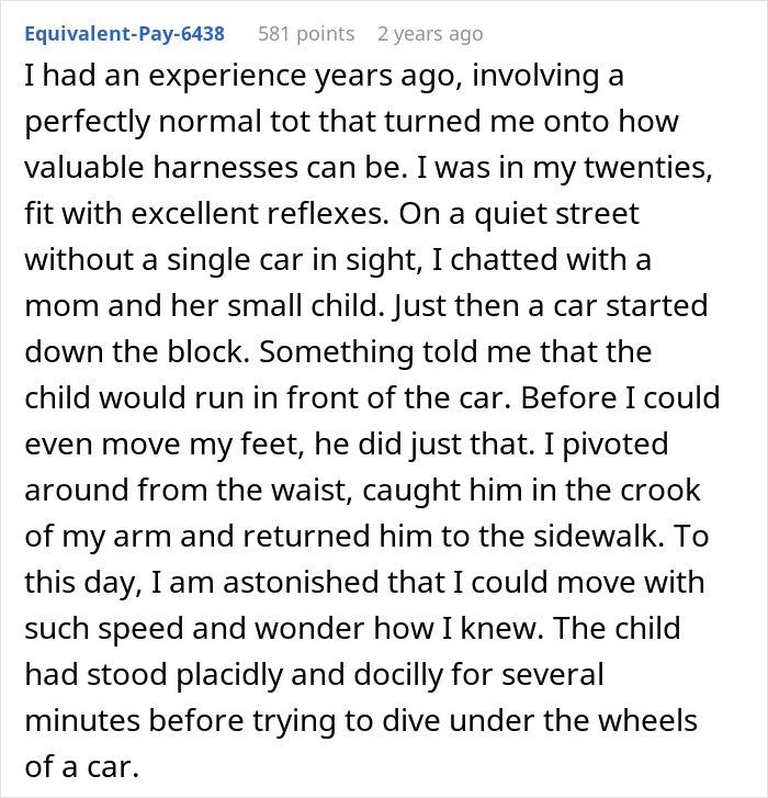 Mom Uses Harness On Autistic Kid, Old Woman Thinks It’s Just Bad Parenting, Kid Ends Up Missing