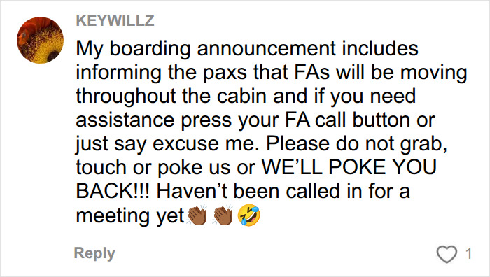 &ldquo;Insane&rdquo;: Flight Attendants Plead For Passengers To Stop Disturbing Habit On Planes Before Disaster Strikes