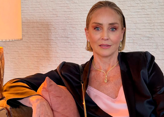 Sharon Stone Reveals Her Husband Walked Out After Her Life-Changing Surgery, His Reason Left People Furious