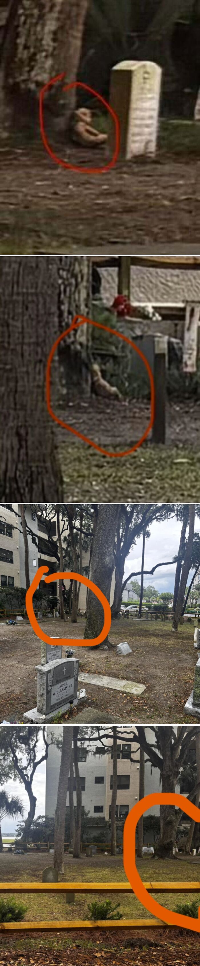 35 Terrifying And Real Stories That Could Make Great Horror Movies