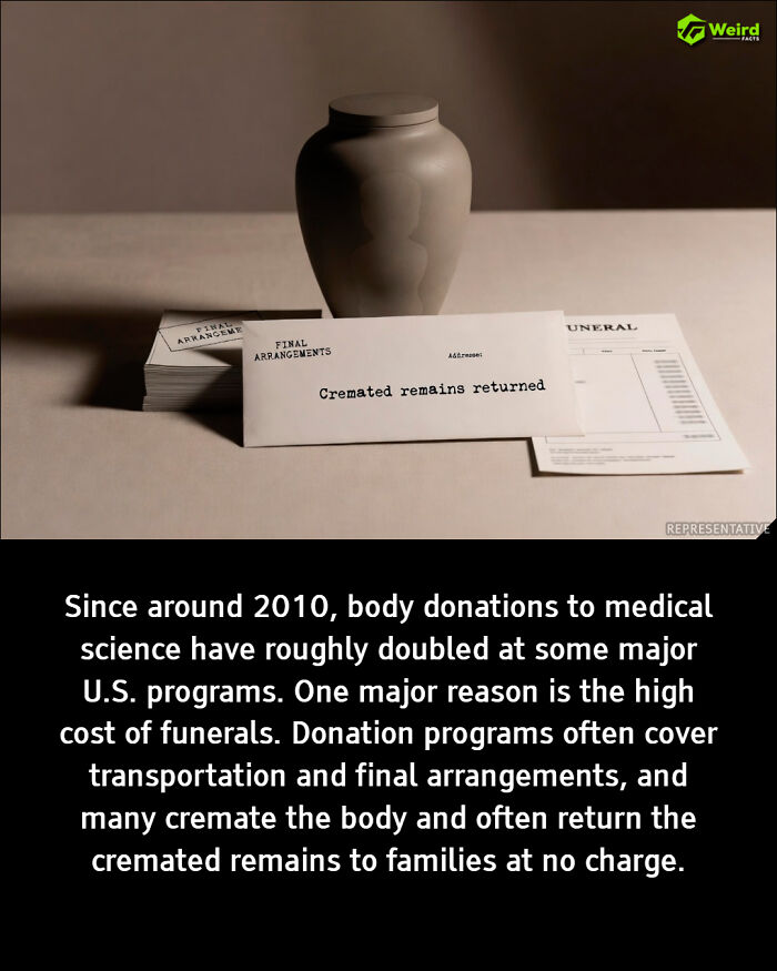 65 &ldquo;Positive&rdquo; Stories That Fall Apart The Second You Use Critical Thinking (New Pics)