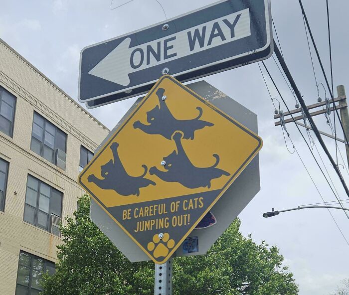 “What The Frick Is This Sign?”: 69 Of The Funniest Signs Ever Spotted In The Wild