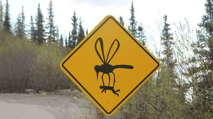 “What The Frick Is This Sign?”: 69 Of The Funniest Signs Ever Spotted In The Wild