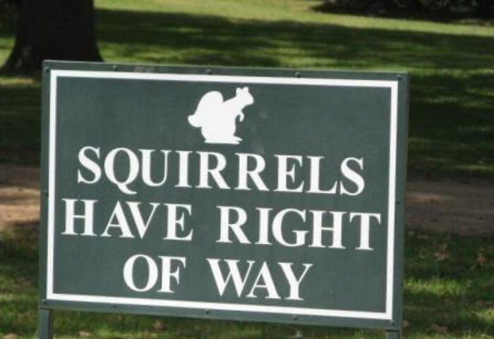 “What The Frick Is This Sign?”: 69 Of The Funniest Signs Ever Spotted In The Wild