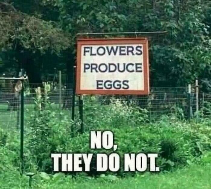“What The Frick Is This Sign?”: 69 Of The Funniest Signs Ever Spotted In The Wild