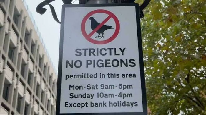 “What The Frick Is This Sign?”: 69 Of The Funniest Signs Ever Spotted In The Wild