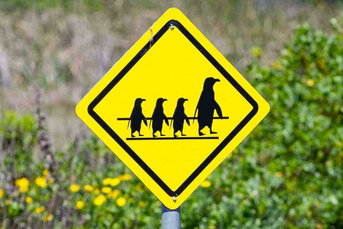 “What The Frick Is This Sign?”: 69 Of The Funniest Signs Ever Spotted In The Wild