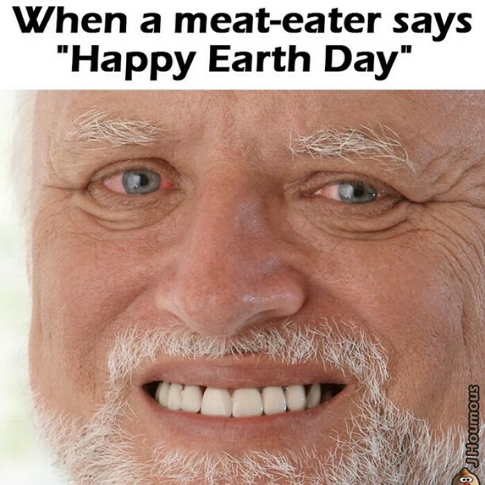 75 Hilarious Vegan Memes That May Change The Way You Look At Meat