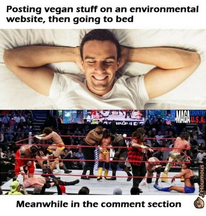 75 Hilarious Vegan Memes That May Change The Way You Look At Meat
