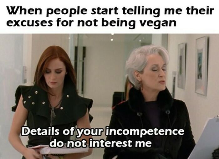 75 Hilarious Vegan Memes That May Change The Way You Look At Meat