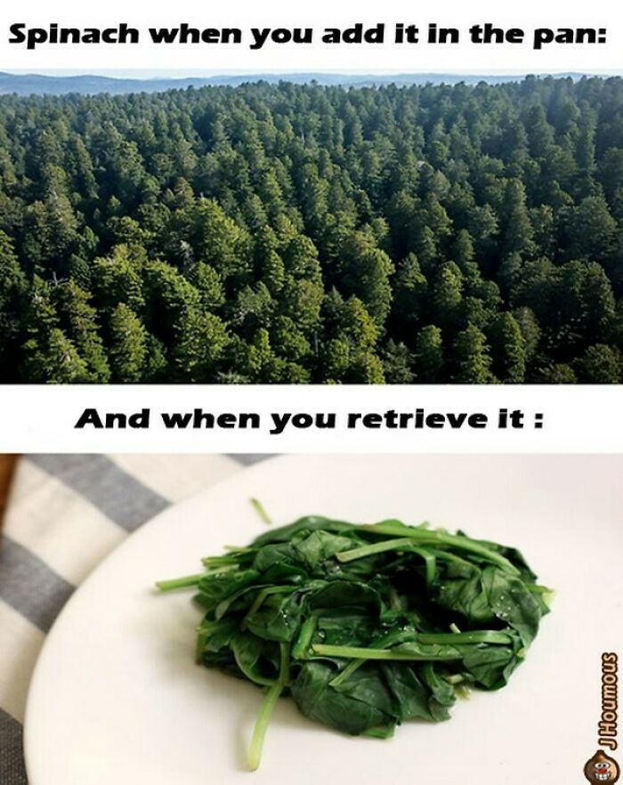 75 Hilarious Vegan Memes That May Change The Way You Look At Meat