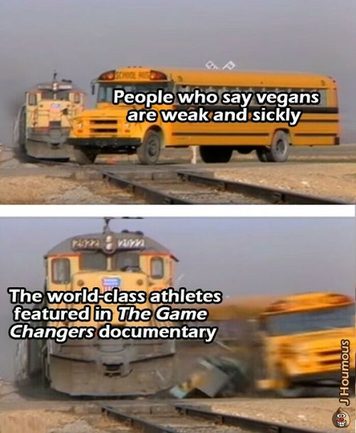 75 Hilarious Vegan Memes That May Change The Way You Look At Meat