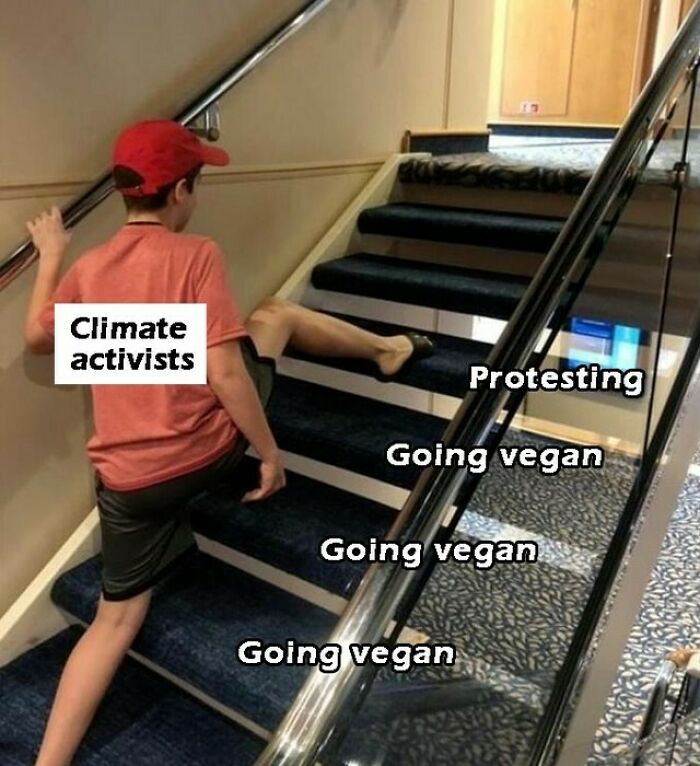 75 Hilarious Vegan Memes That May Change The Way You Look At Meat
