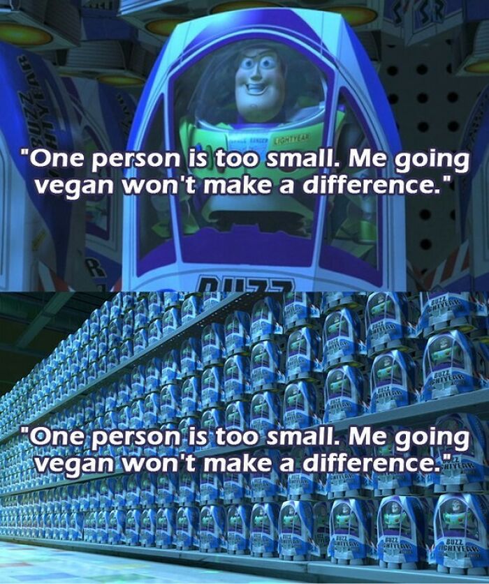 75 Hilarious Vegan Memes That May Change The Way You Look At Meat