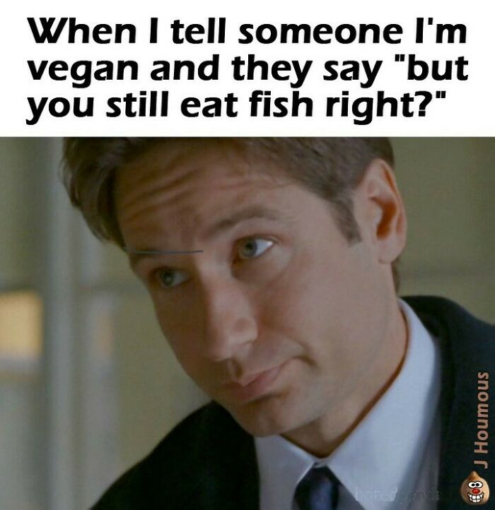 75 Hilarious Vegan Memes That May Change The Way You Look At Meat