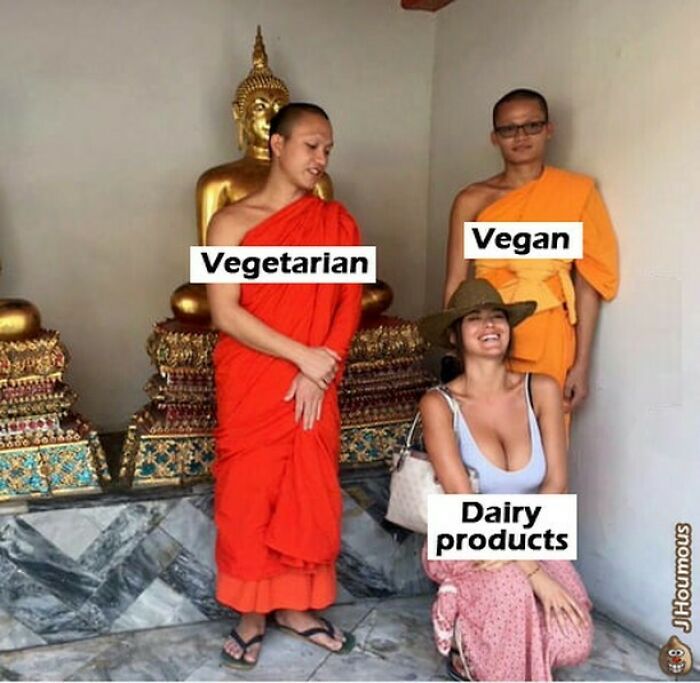 75 Hilarious Vegan Memes That May Change The Way You Look At Meat