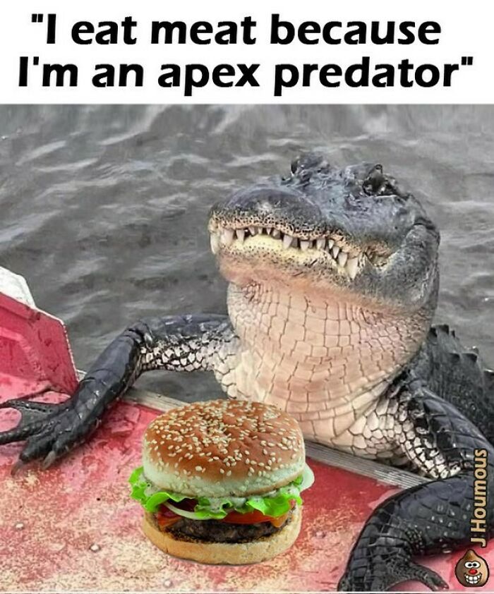 75 Hilarious Vegan Memes That May Change The Way You Look At Meat