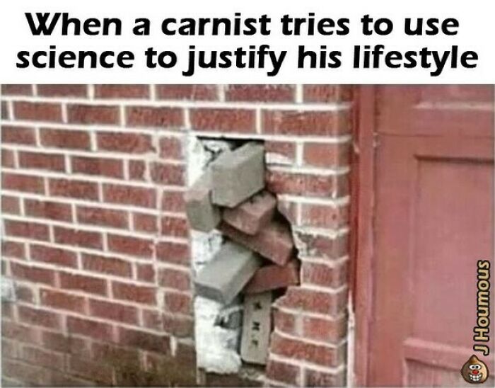 75 Hilarious Vegan Memes That May Change The Way You Look At Meat