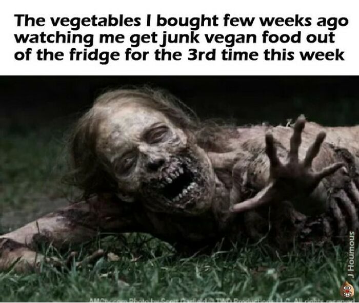 75 Hilarious Vegan Memes That May Change The Way You Look At Meat