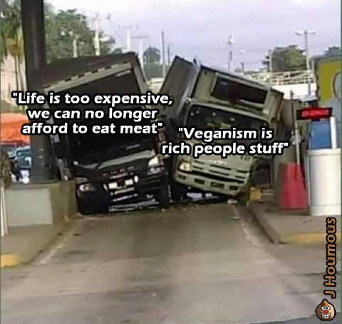 75 Hilarious Vegan Memes That May Change The Way You Look At Meat