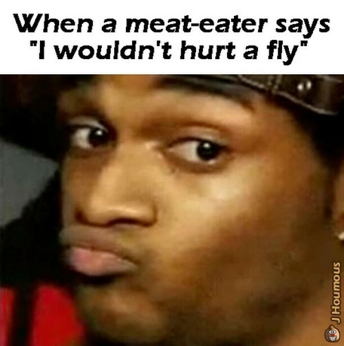 75 Hilarious Vegan Memes That May Change The Way You Look At Meat