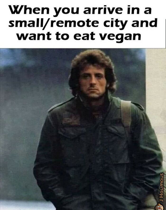 75 Hilarious Vegan Memes That May Change The Way You Look At Meat